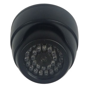 Fortis Dummy Dome Camera