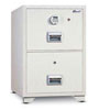 Mutual Fire Resistant Filing Cabinet 2DR Elec