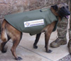 Canine Bullet Proof Vest